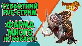 New Dragon Nest | PvE-Стрим • Уже середина июня???