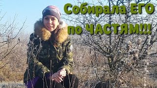 Коп 2020.ЕСТЬ ОТЛИЧНЫЕ НАХОДКИ!