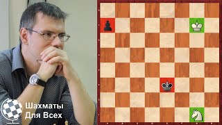 Шахматы. КОНЬ против ПЕШКИ!