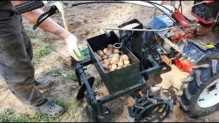 НЕ СОВСЕМ УДАЧНАЯ ПОСАДКА КАРТОШКИ МОТОБЛОКОМ.