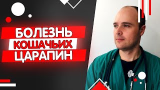 Болезнь Кошачьих Царапин