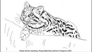 How to Draw a Big Cat | YZArts | YZArts