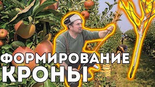 ФОРМИРОВАНИЕ КРОНЫ ДЕРЕВА | ОТГИБ ВЕТОК