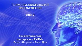 Психо-эмоциональная кинезиология. Урок 2