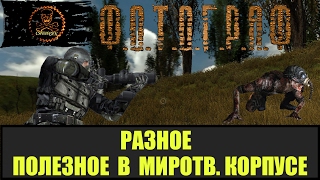 STALKER ФОТОГРАФ Миротворческий корпус