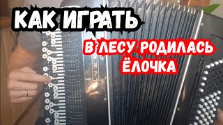 Обучение В лесу родилась ёлочка на баяне разбор для новичков