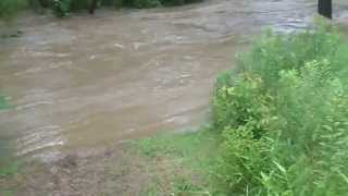 Hudson Run Creek - 7/10/2013 - Norton Ohio