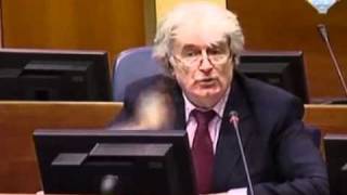 Radovan Karadžić Srbi nisu htjeli Veliku Srbiju !