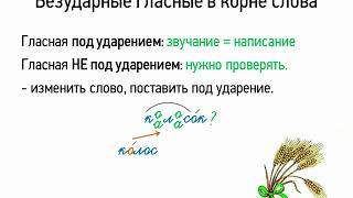 Правописание безударных гласных в корне слова (5 класс, видеоурок-презентация)