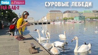 Суровые гамбургские птички! Орёл и Решка. Рай и Ад-2