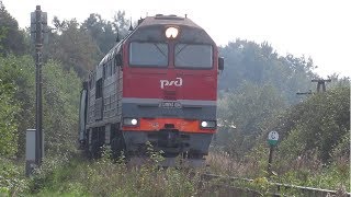 2ТЭ116УД-004 с хопперами. Последний вагон с ползуном. Вырубка леса