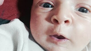 Diário do Bebe: 1º Mês - Adaptação e Cólica