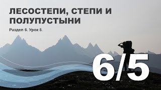 6/5 Лесостепи, степи и полупустыни