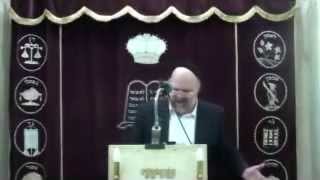 הרב ברוך רוזנבלום פרשת וישלח 8 תשע״ד Rabbi Baruch Rosenblum