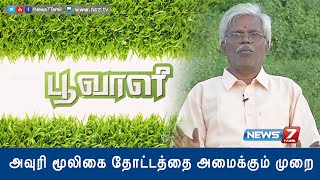 How to grow "Avuri" which cures Jaundice naturally | Poovali | News7 Tamil |