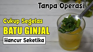 SEKARANG GILIRANMU... SUDAH BANYAK TERBUKTI BATU GINJAL KELUAR SENDIRI DENGAN MINUMAN INI