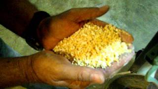CORN CRACKER