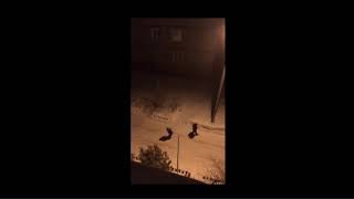 Назару Илишеву Вдумчиво обо всём посвящается этот обзор
