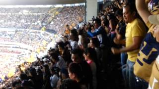 Festejo Tercer Gol De Pumas Rebel 2014
