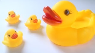 Toddler Rubber Duck  |  아이 오리 를위한 장,  |  난감玩具鴨 | Toy Mpire