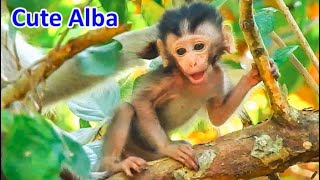 Adorable Alba Not Hurt Alba Stop Cry, Cute baby Alba Feeling Happy