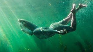 Sharks are People Too