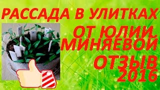 Рассада в улитках от Юлии Миняевой - отзыв 2016. Выращивание рассады перца, помидор, баклажан дома