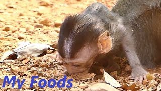 Deep Hurt Pity Poor Alba | So Hungry No Milk Feeding | Baby Eating Eating | Monkey Sounds