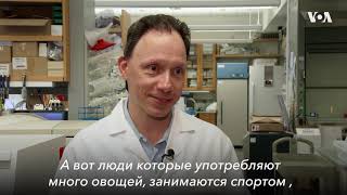 Раскрыть секрет долголетия