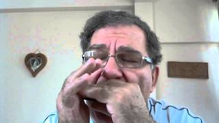 Con Te Partiro - Time to say good bye, on  Harmonica