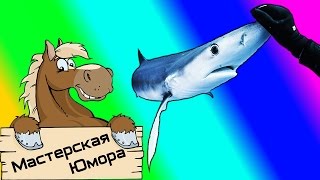 ? ОБНИМАШКИ С АКУЛОЙ (18+) | Мастерская Юмора