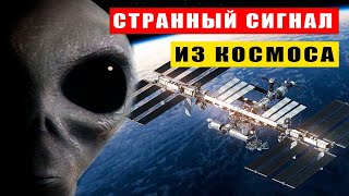 Странный сигнал из космоса. Какие формы жизни могут подавать нам знаки?