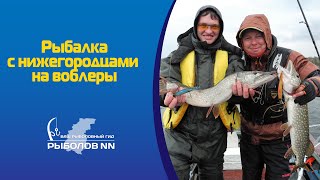 Ловля щуки осенью на воблеры minnow : ПР#5
