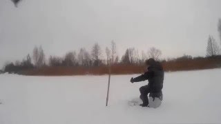 Подлёдная съёмка. Ловля окуня.