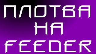 Ловля плотвы на фидер. Рыбалка на озере.