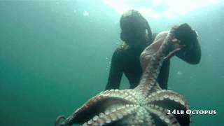 Freediving for 10 inch Abalone