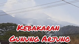 KEBAKARAN GUNUNG ARJUNA DAN WELIRANG  TERLIHAT JELAS DARI DESA DAYUREJO PRIGEN PASURUAN