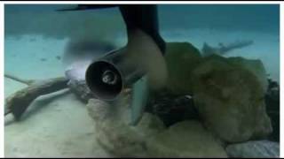 Sea-Doo Shallow Draft