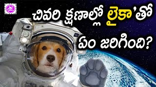 Anthariksham Telugu Full Movie of a Laika Dog in Space Video | Lika in Antariksham | About Stories