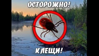 Крымская геморрагическая Лихорадка