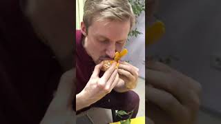 Еда, еда, иди ко мне сюда. Снимаем еду. Развитие ораторского мастерства