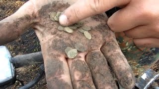 Распашка монет(чешуя,медный бунт).В поисках старины #9