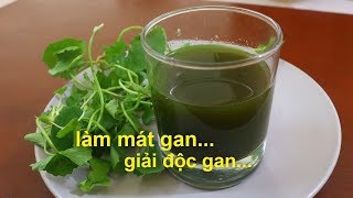 Cách Làm Mát Gan Giải Độc Gan Trong Tích Tắc Gan Không Bao Giờ Nhiễm Độc Khỏe Mạnh Cả Đời