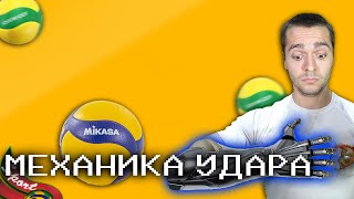 КАК ПРАВИЛЬНО НАПАДАТЬ? // МЕХАНИКА РАБОТЫ ПЛЕЧА ПРИ НАПАДАЮЩЕМ УДАРЕ В ВОЛЕЙБОЛЕ // ЭВЛ #2
