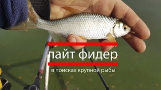 Лайт фидер.  В поисках крупной рыбы.