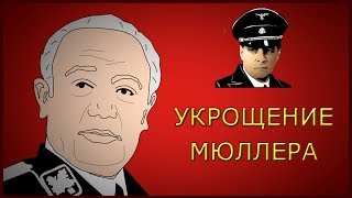 Штирлиц и Краудфандинг.  Укрощение Мюллера. Что такое Краудфандинг?