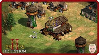 ALLE VERNICHTET VON MIR ★ AGE OF EMPIRES II HD 31 ★ Danger Zockt