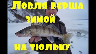Ловля берша зимой на тюльку