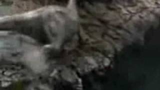 King Kong - Benny Hill (Yakety Sax)
