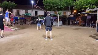 Tauroemision en directo Sant Joan de Moró 8 Becerrada